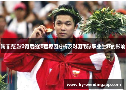 陶菲克退役背后的深层原因分析及对羽毛球职业生涯的影响