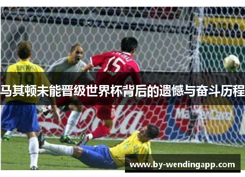 马其顿未能晋级世界杯背后的遗憾与奋斗历程