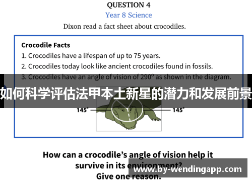 如何科学评估法甲本土新星的潜力和发展前景