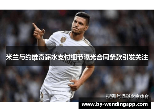 米兰与约维奇薪水支付细节曝光合同条款引发关注